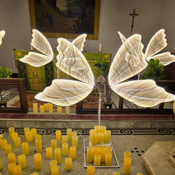 Fluturi luminosi Obiecte luminoase