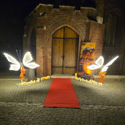 Fluturi luminosi Obiecte luminoase