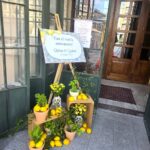 Sevalet evenimente de lemn