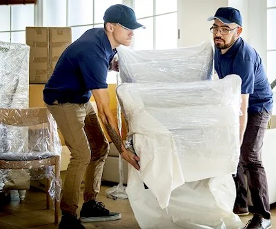 Transport Scaune Evenimente